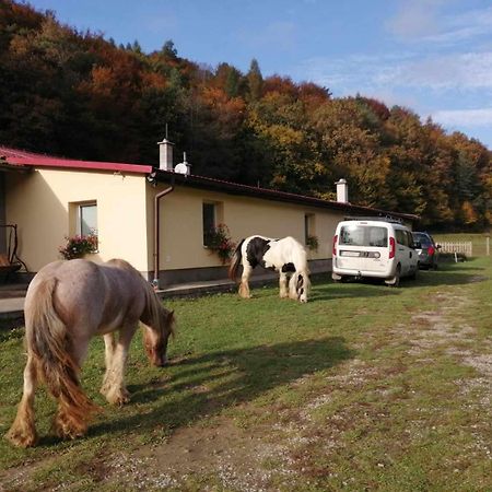 Oddychovy Pobyt Na Rodinnej Farme Mátyáska Kültér fotó