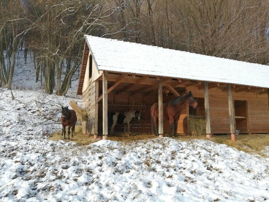 Oddychovy Pobyt Na Rodinnej Farme Mátyáska Kültér fotó