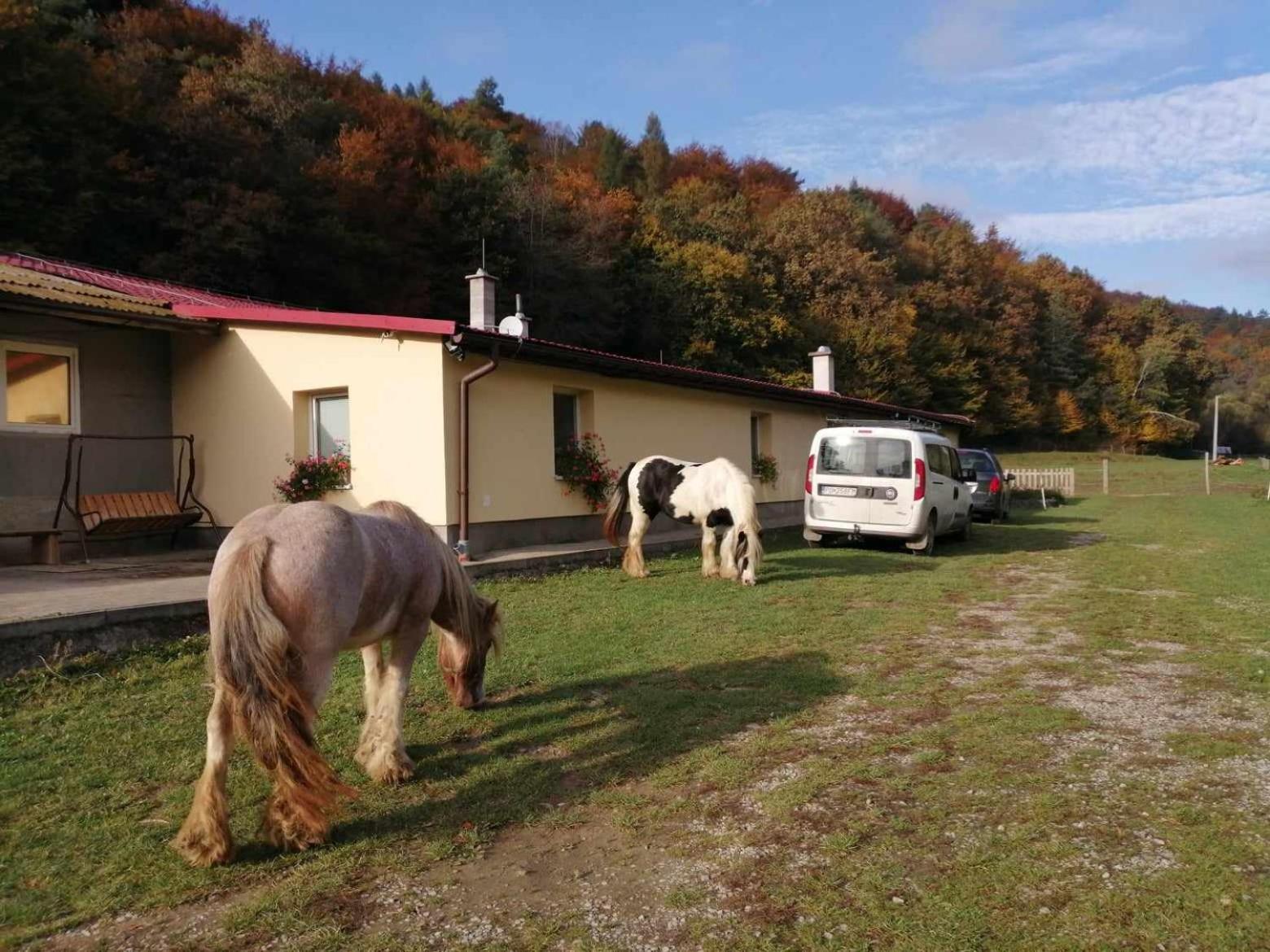 Oddychovy Pobyt Na Rodinnej Farme Mátyáska Kültér fotó